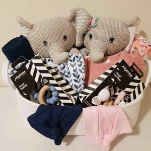 twins hamper gift basket large stuffed toy teething toy and clothing pink and blue