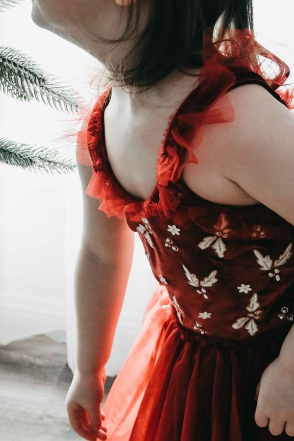 Closeup Red Velvet Christmas 2023 Dress by Bencer & Hazelnut